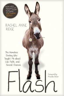 Book cover of Flash