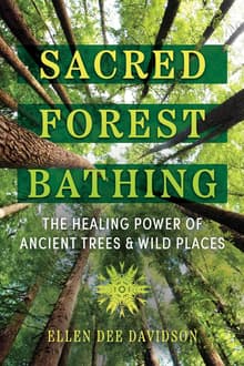 Book cover of Sacred Forest Bathing