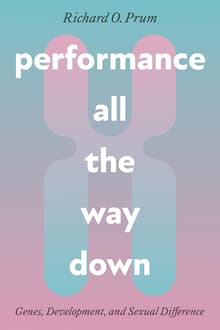 Book cover of Performance All the Way Down