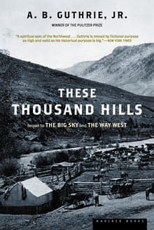 Book cover of These Thousand Hills