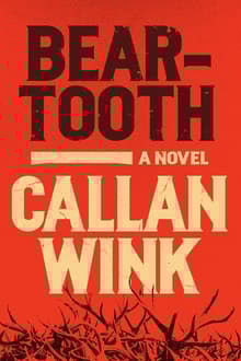 Book cover of Beartooth