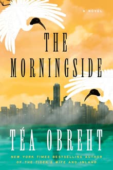 Book cover of The Morningside