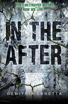 Book cover of In the After
