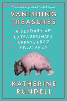 Book cover of Vanishing Treasures