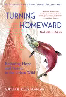 Book cover of Turning Homeward