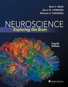 Book cover of Neuroscience: Exploring The Brain