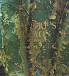 Book cover of Nature's Chaos