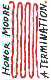 Book cover of A Termination