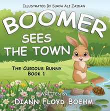 Book cover of Boomer Sees the Town