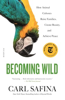 Book cover of Becoming Wild