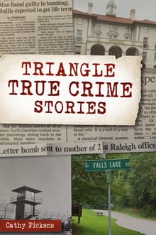 Book cover of Triangle True Crime Stories