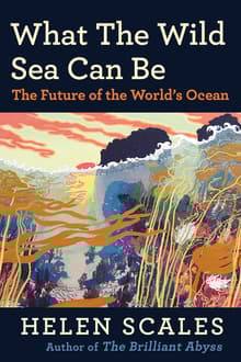 Book cover of What the Wild Sea Can Be
