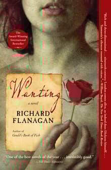 Book cover of Wanting