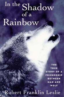Book cover of In the Shadow of a Rainbow