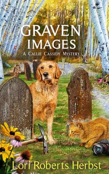 Book cover of Graven Images