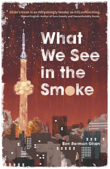 Book cover of What We See in the Smoke