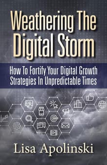 Book cover of Weathering the Digital Storm