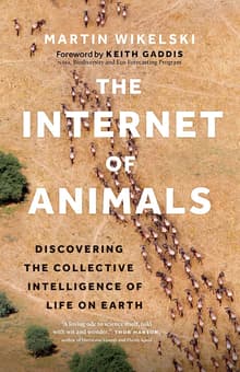 Book cover of The Internet of Animals