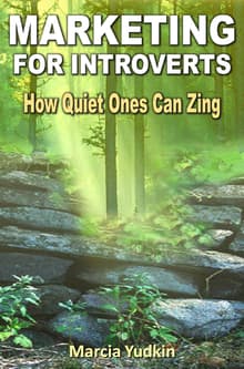 Book cover of Marketing for Introverts