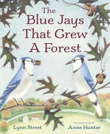 Book cover of The Blue Jays That Grew a Forest