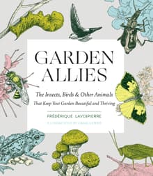 Book cover of Garden Allies: The Insects, Birds, and Other Animals That Keep Your Garden Beautiful and Thriving