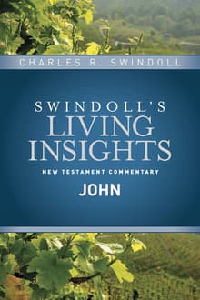 Book cover of Insights on John