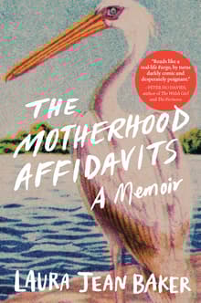 Book cover of The Motherhood Affidavits: A Memoir