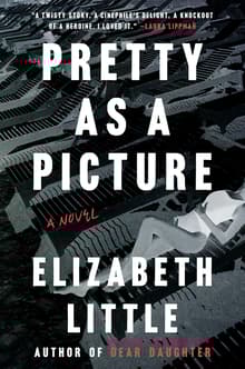 Book cover of Pretty as a Picture