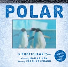Book cover of Polar: A Photicular Book