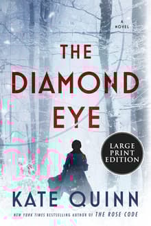 Book cover of The Diamond Eye
