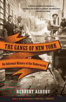 Book cover of The Gangs of New York: An Informal History of the Underworld