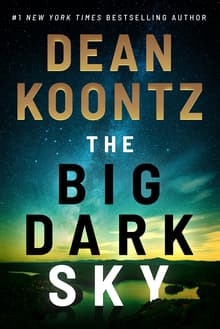 Book cover of The Big Dark Sky