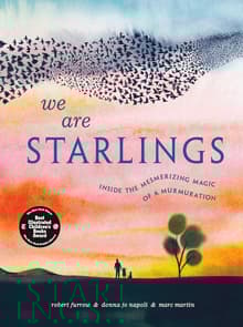 Book cover of We Are Starlings