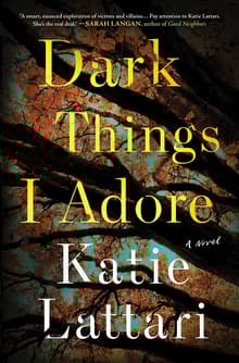Book cover of Dark Things I Adore
