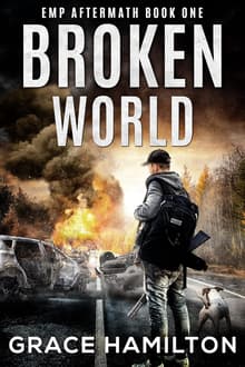 Book cover of Broken World