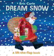 Book cover of Dream Snow