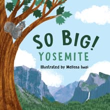 Book cover of So Big! Yosemite