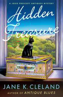 Book cover of Hidden Treasure