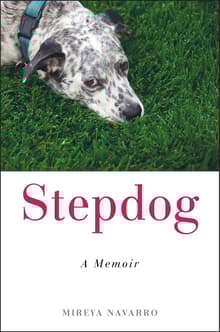 Book cover of Stepdog: A Memoir