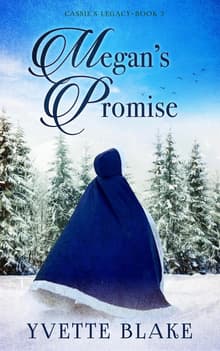 Book cover of Megan's Promise