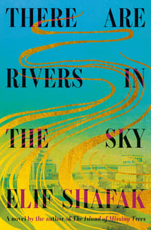 Book cover of There Are Rivers in the Sky