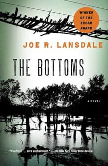 Book cover of The Bottoms