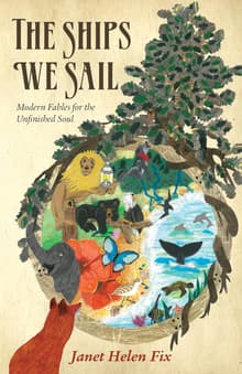 Book cover of The Ships We Sail