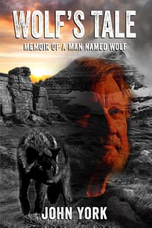 Book cover of Wolf's Tale