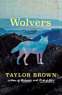 Book cover of Wolvers