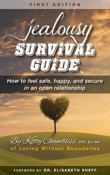 Book cover of Jealousy Survival Guide