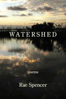 Book cover of Watershed