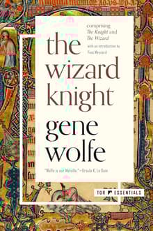 Book cover of The Wizard Knight