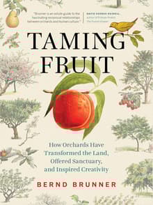Book cover of Taming Fruit