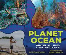 Book cover of Planet Ocean: Why We All Need a Healthy Ocean